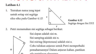 Kunci jawaban Matematika kelas 10 halaman 101 kurikulum merdeka Tentukan nama yang tepat untuk setiap sisi segitiga siku-siku pada Gambar