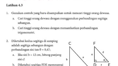 Kunci jawaban Matematika kelas 10 halaman 105 106 107 108 109 kurikulum merdeka Cari tinggi orang dewasa dengan menggunakan perbandingan segitiga sebangun