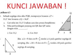 Kunci Jawaban Matematika Kelas 10 Halaman 114 115 Kurikulum Merdeka Cari Nilai Sin 53,2