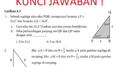 Kunci jawaban Matematika kelas 10 halaman 114 115 kurikulum merdeka Cari nilai sin 53,2 Uraikan cara dan proses berpikirmu soal Latihan 4.5