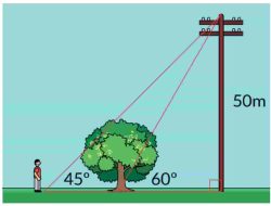 Seorang Laki-laki Sedang Berjalan di Sebuah Area Hijau Ia Berpapasan dengan Sebatang Pohon dan Sebuah Tiang Listrik