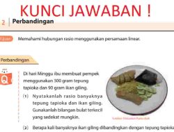 Untuk Perbandingan Pada Soal 2 Periksa Apakah Hasil Kali Dua Bilangan Luar dan dalam Adalah Sama