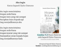 Menurut Kalian Apakah Maksud Penulis dengan Kalimat Itu dalam Konteks Puisi di Atas Aku Ingin